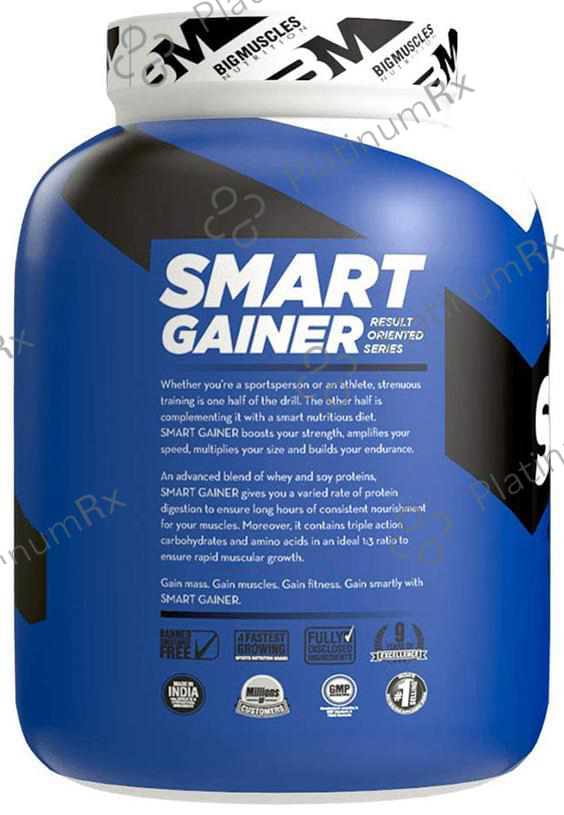 Big Muscles Smart Gainer Milk Chocolate 6 lb