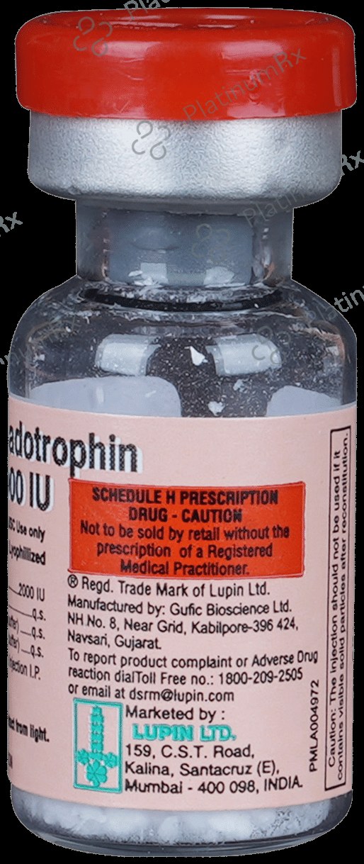 Lupi HCG 2000 Injection 1s