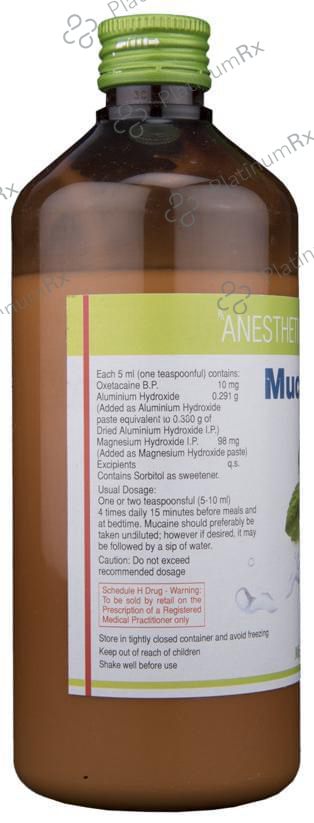 Mucaine Gel Mint Sugar Free 350 Oral Gel