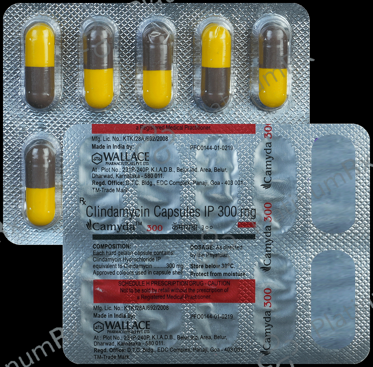 Camyda 300mg Capsule 10s