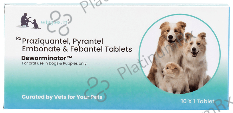 Wiggles Deworminator Tablet for Protection from Roundworm, Hookworm, Tapeworm & Whipworm - For Dogs & Puppies