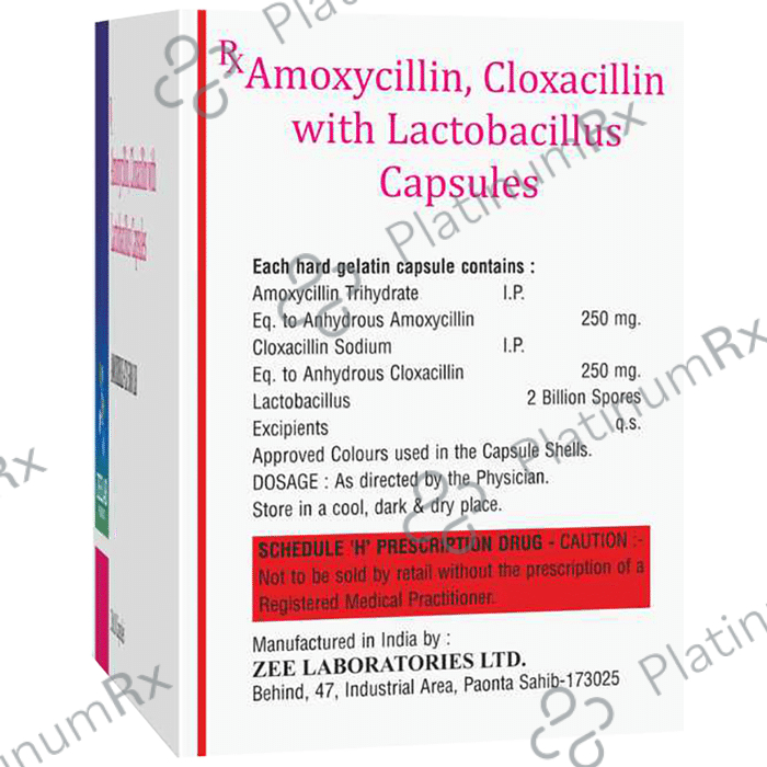 Amoxible CX 500 LB Capsule