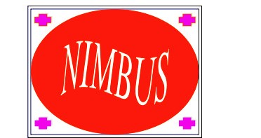 Nimbus Health Care Pvt Ltd