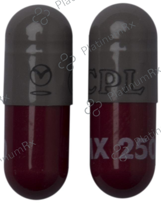 LMX 250 Capsule