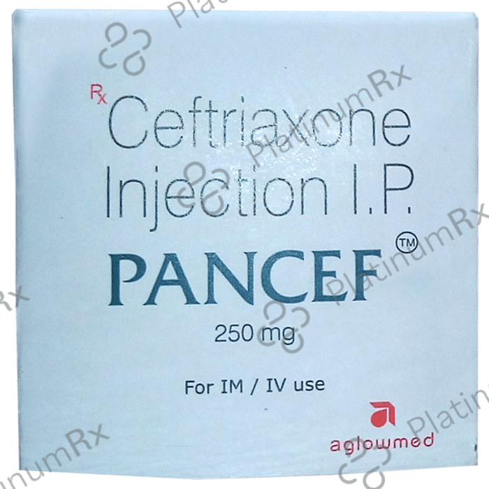 Pancef 250mg Injection