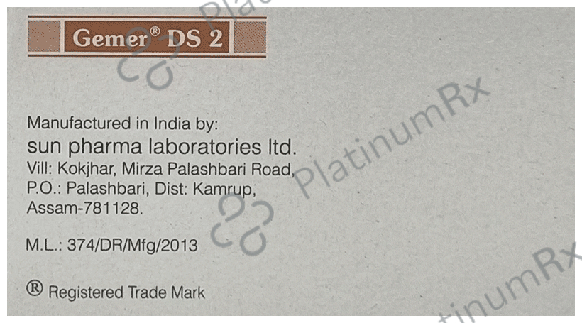 Gemer DS 2 Tablet PR