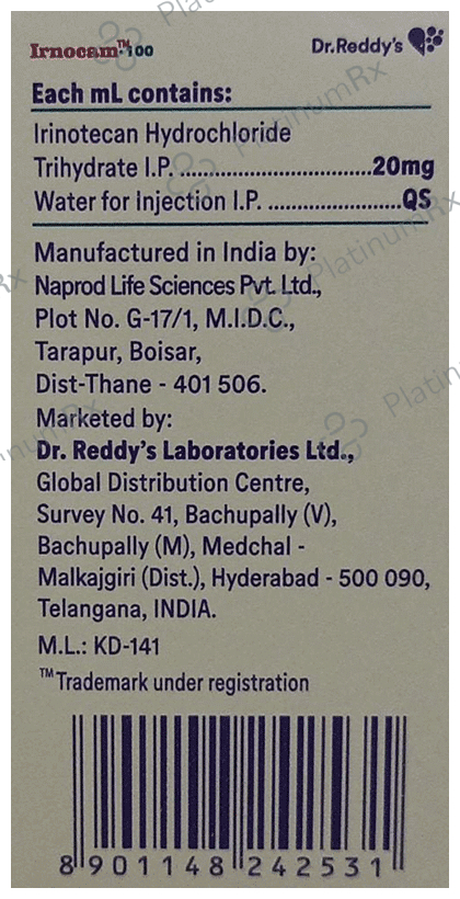Irnocam 100mg Injection