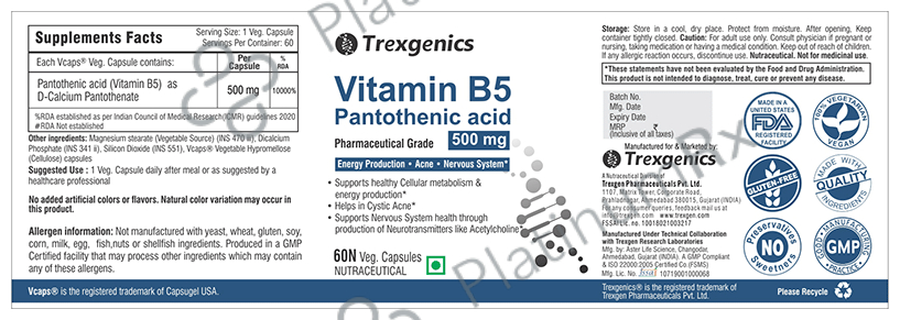 Trexgenics Vitamin B5 500mg Veg. Capsules