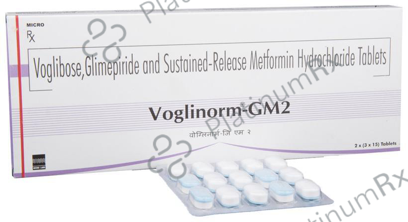 Voglinorm GM 2/500/0.2mg Tablet SR 15s