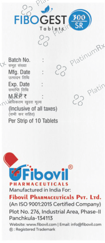Fibogest 300 SR Tablet