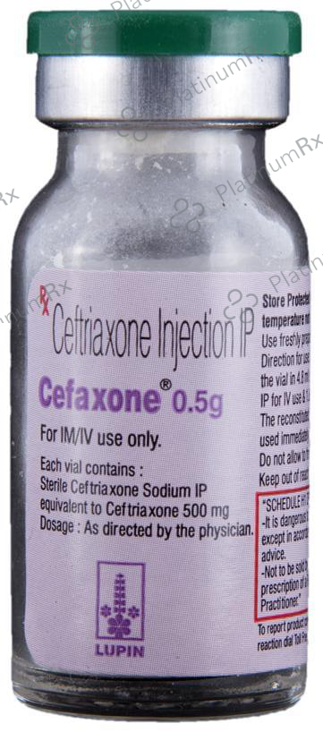 Cefaxone 0.5gm Injection