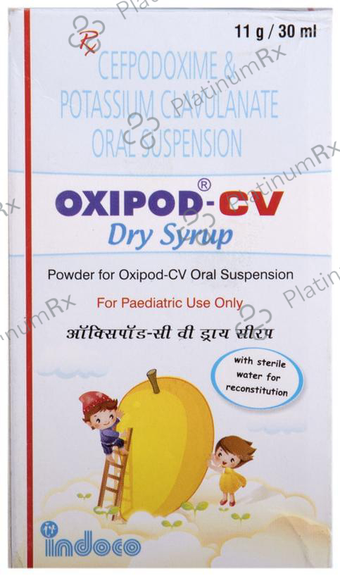 Oxipod-CV 50mg/5ml/31.25mg/5ml Dry Syrup