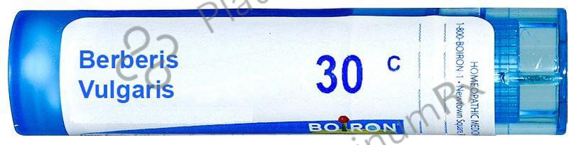 Boiron Berberis Vulgaris Multi Dose Approx 80 Pellets 30 CH