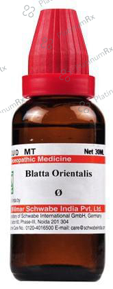 Dr Willmar Schwabe India Blatta Orientalis Mother Tincture Q