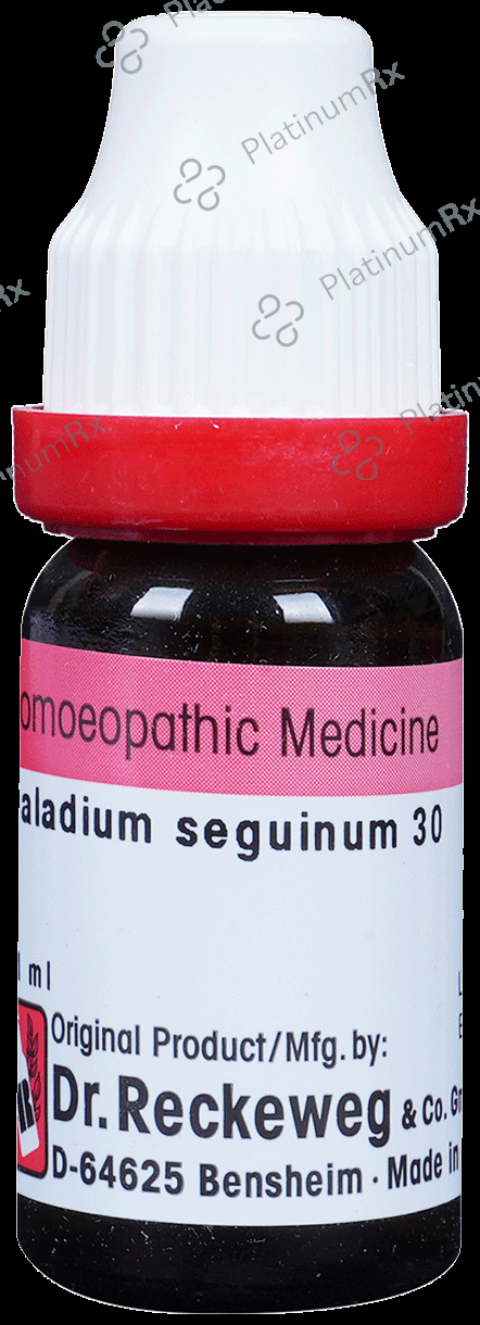 Dr. Reckeweg Caladium Seg Dilution 30 CH