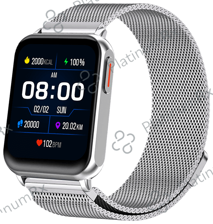 Fire-Boltt King Smartwatch Silver SS