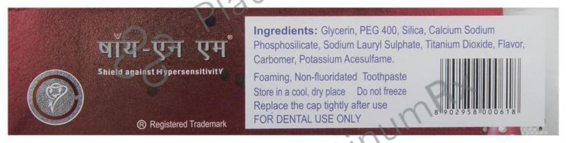 Shy NM Toothpaste 50gm