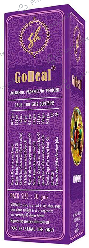 GoHeal Antiseptic Ultra-Healing Ointment
