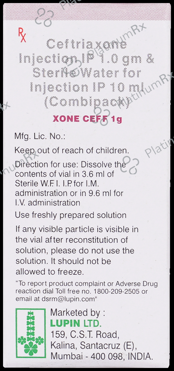 Xone Ceff 1000mg Injection