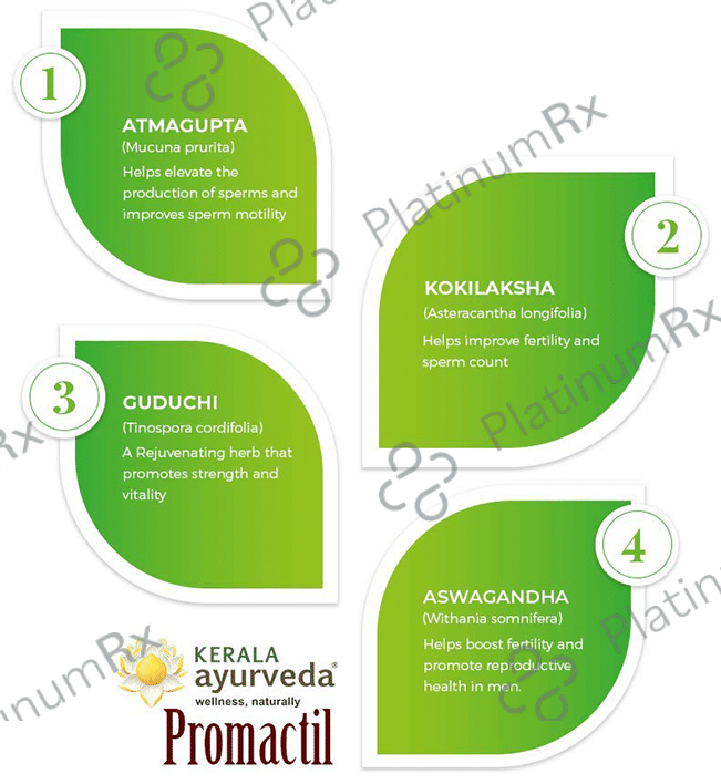 Kerala Ayurveda Promactil Capsule