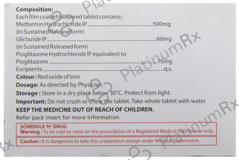 Glizid Total P 15/60/500mg Tablet SR 10s