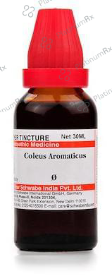 Dr Willmar Schwabe India Coleus Aromaticus Mother Tincture Q