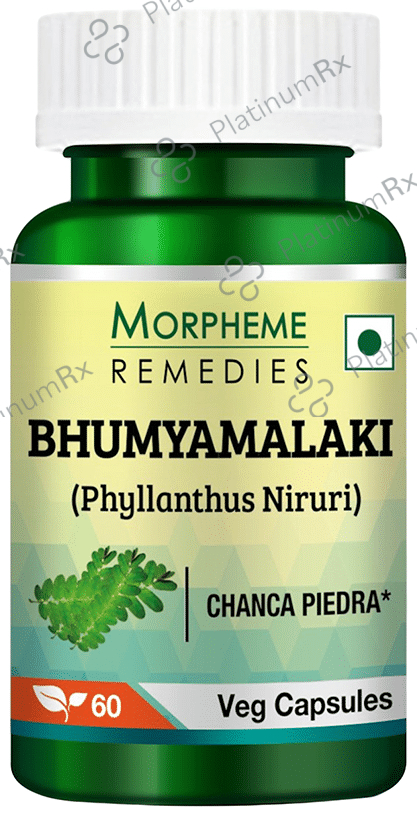 Morpheme Phyllanthus Niruri Capsule