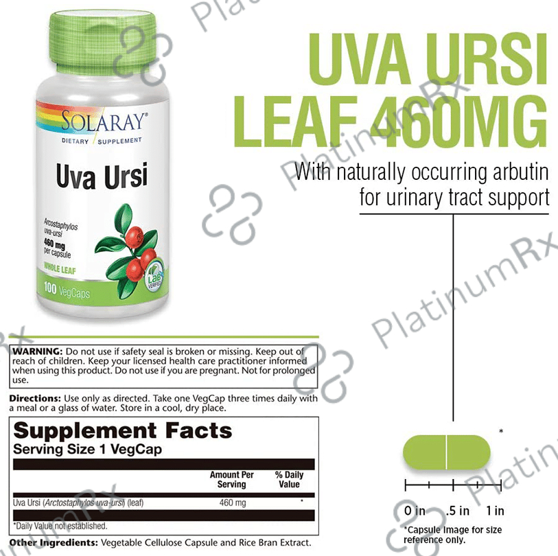Solaray Uva Ursi 460mg Veg Capsule