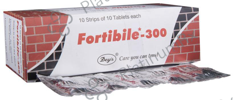 Fortibile 300mg Tablet 10s