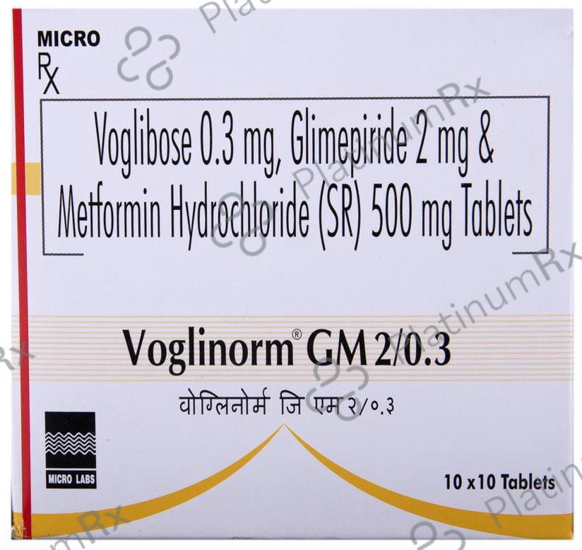 Voglinorm GM 2/0.3 2/500/0.3mg Tablet SR 10s