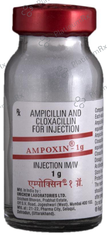 Ampoxin 1gm Injection