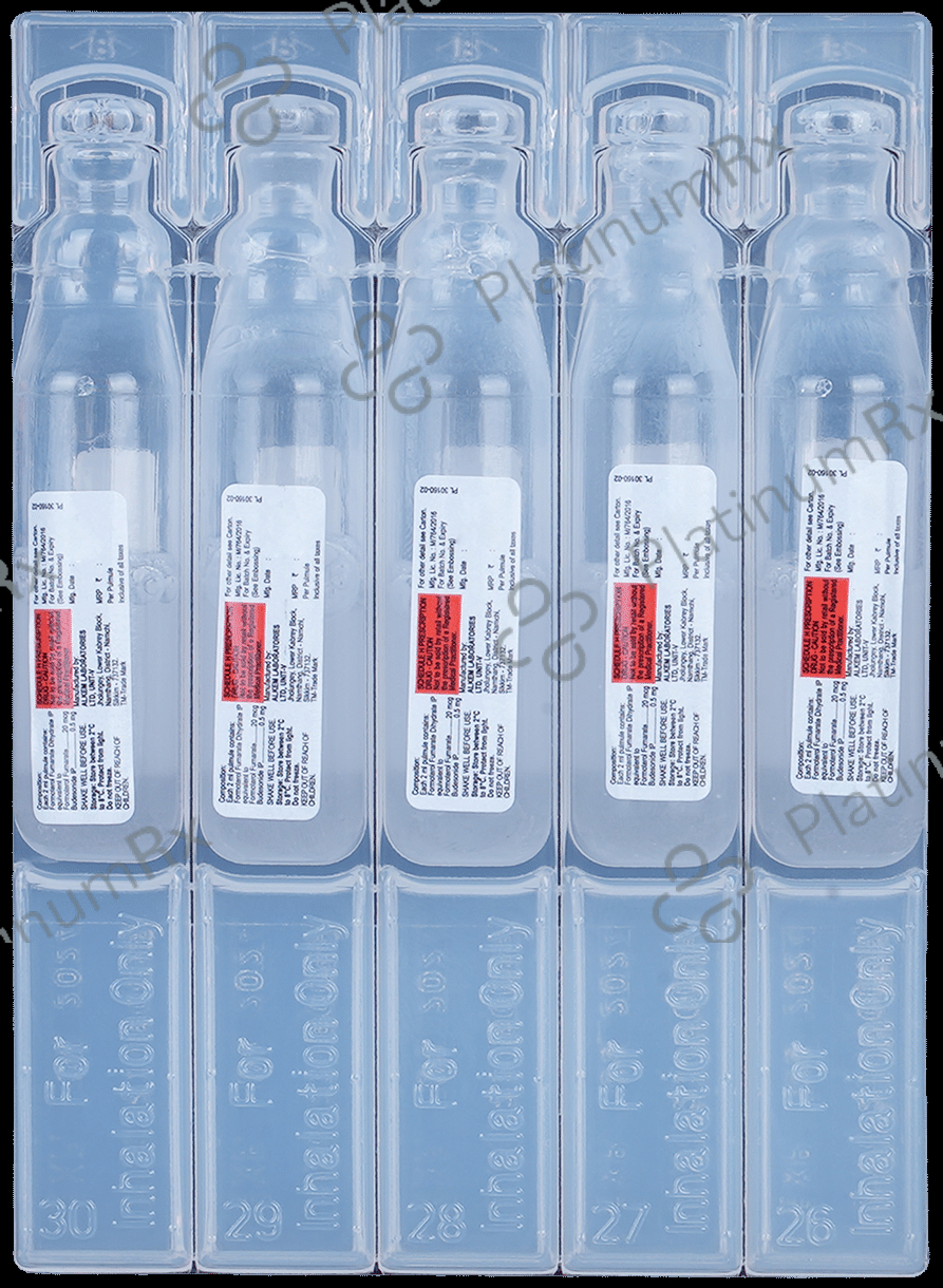 Pulmosmart 0.5/20mcg Pulmules Solution 2ml