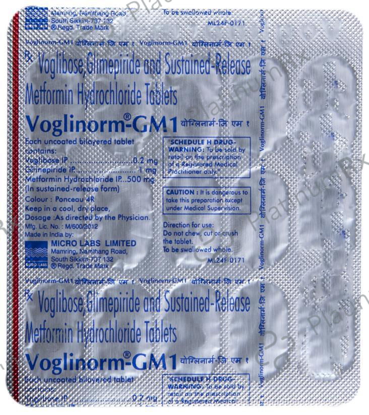 Voglinorm GM 1/500/0.2mg Tablet SR 15s