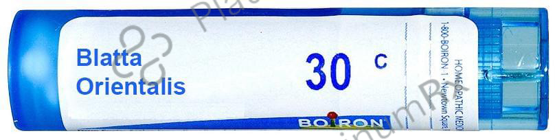 Boiron Blatta Orientalis Multi Dose Approx 80 Pellets 30 CH
