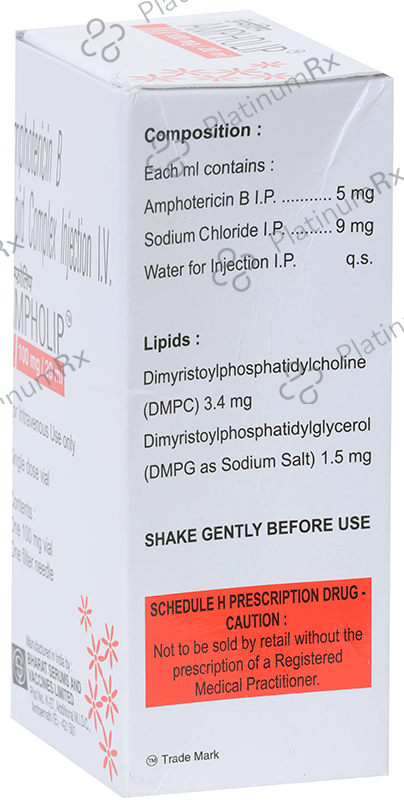 Ampholip 100mg Injection