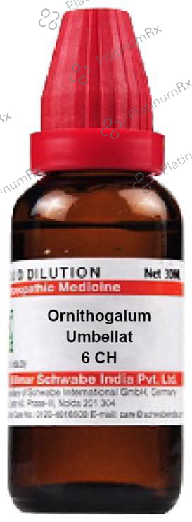 Dr Willmar Schwabe India Ornithogalum Umbellat Dilution 6 CH