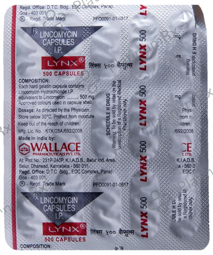 Lynx 500mg Capsule 15s