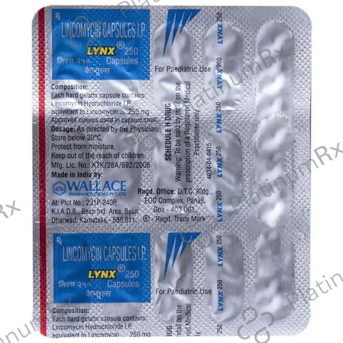 Lynx 250 Capsule