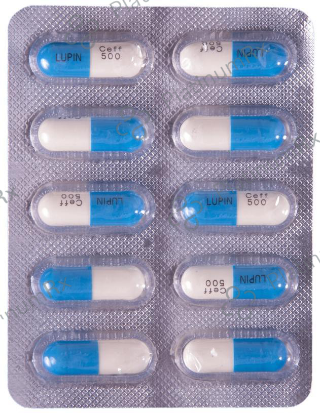 Ceff 500mg Capsule 10s