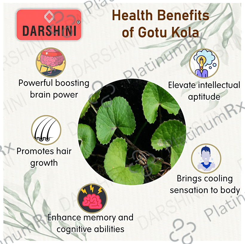 Darshini Gotu Kola / Mandukaparni / Vallarai / Centella Asiatica Powder
