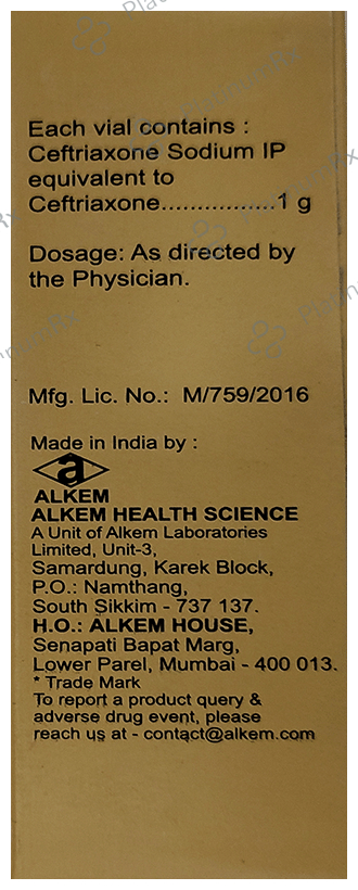 Xone 1000mg Injection 5ml