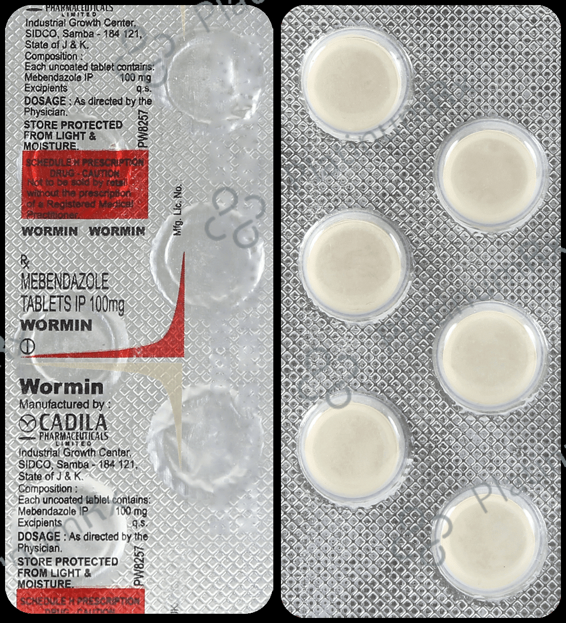 Wormin 100mg Tablet