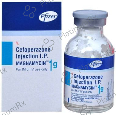 Magnamycin 1000mg Injection