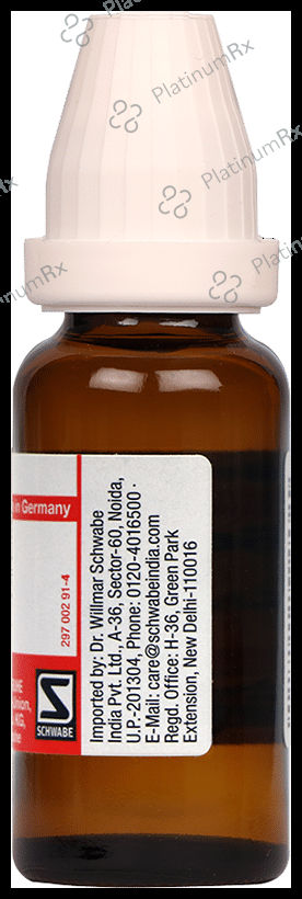 Dr Willmar Schwabe Germany Serum Anguillae Dilution 6X