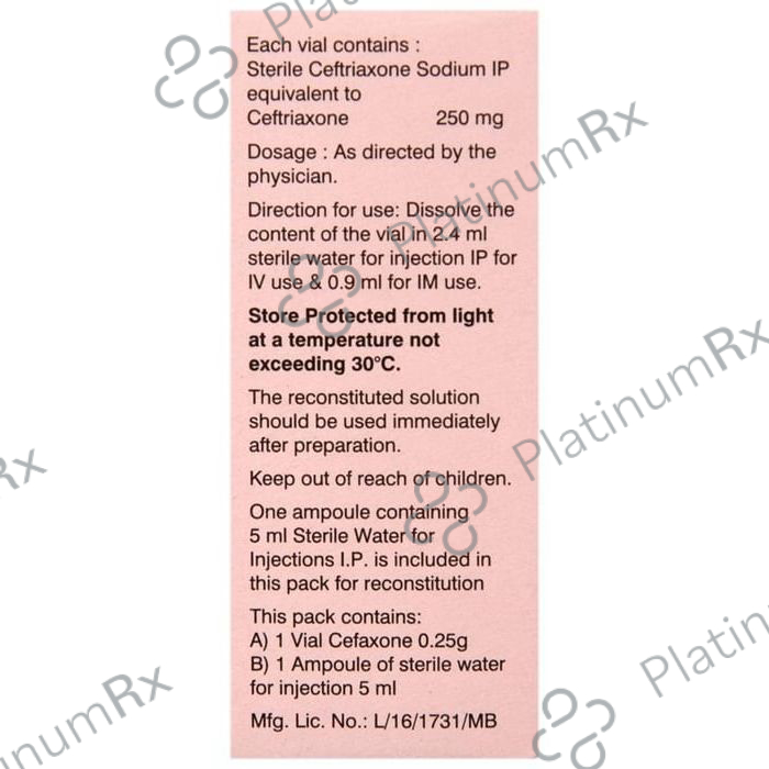 Cefaxone 0.25g Injection