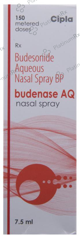 Budenase AQ 100mcg Nasal Spray 1s