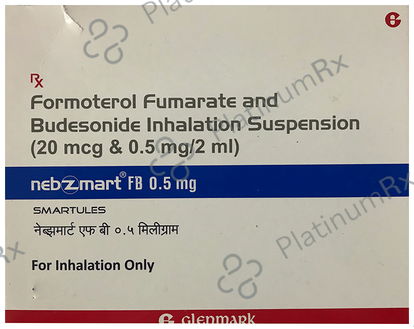 Nebzmart FB 0.5mg Smartules 2ml 7s