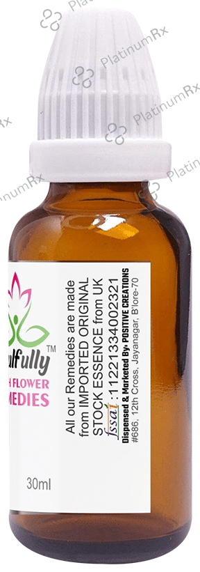 Soulfully Willow Bach Flower Remedies Drops