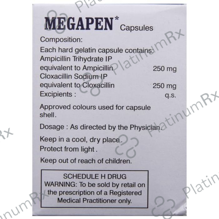 Megapen 250/250mg Capsule 10s