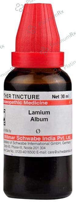 Dr Willmar Schwabe India Lamium Album Mother Tincture Q